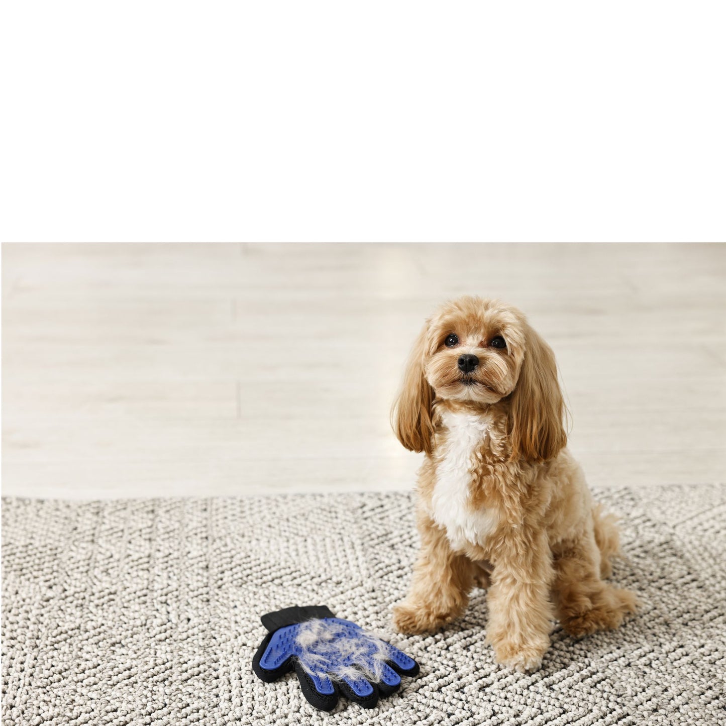 Szőrleszedő kesztyű kutyáknak és macskáknak